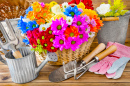 Gardening and Decorating With Flowers
